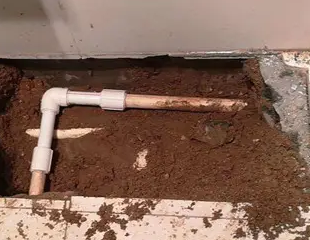 桐庐测漏水哪家好