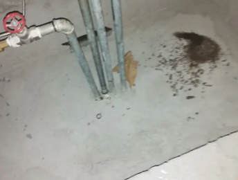 桐庐卫生间测漏水价格明细