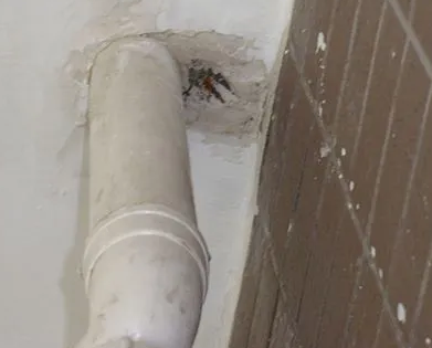 桐庐漏水检测哪家好